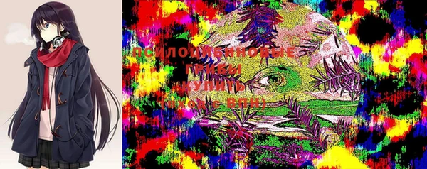 синтетический гашиш Бородино