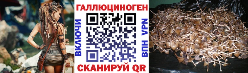 Галлюциногенные грибы Magic Shrooms  Купить закладки  Любим 